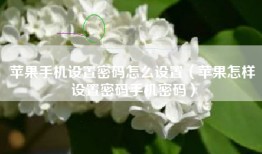 苹果手机设置密码怎么设置（苹果怎样设置密码手机密码）