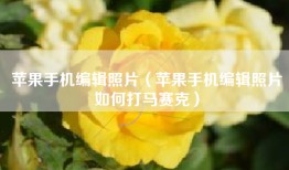 苹果手机编辑照片（苹果手机编辑照片如何打马赛克）