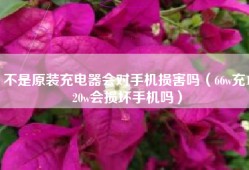 不是原装充电器会对手机损害吗（66w充120w会损坏手机吗）