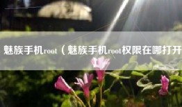 魅族手机root（魅族手机root权限在哪打开）