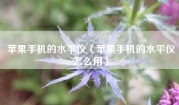 苹果手机的水平仪（苹果手机的水平仪怎么用）