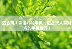 适合玩大型游戏的手机（适合玩大型游戏的手机推荐）