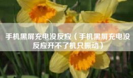 手机黑屏充电没反应（手机黑屏充电没反应开不了机只振动）