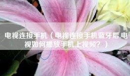 电视连接手机（电视连接手机蓝牙后,电视如何播放手机上视频？）