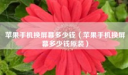 苹果手机换屏幕多少钱（苹果手机换屏幕多少钱原装）