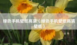 绿色手机壁纸高清（绿色手机壁纸高清壁纸）