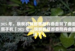 2025 年，旗舰机就都要抛弃曲面屏了曲面屏手机「2025 年，旗舰机就都要抛弃曲面屏了」