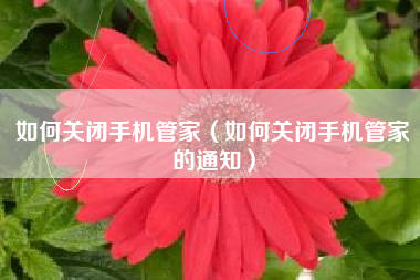 如何关闭手机管家（如何关闭手机管家的通知）