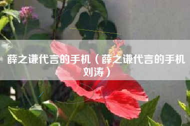 薛之谦代言的手机（薛之谦代言的手机刘涛）