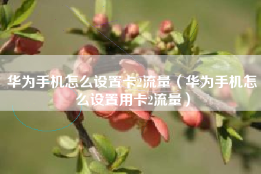 华为手机怎么设置卡2流量（华为手机怎么设置用卡2流量）