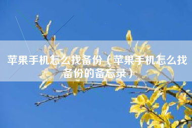 苹果手机怎么找备份（苹果手机怎么找备份的备忘录）