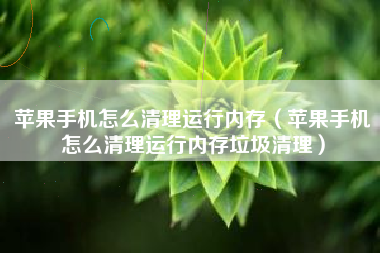 苹果手机怎么清理运行内存（苹果手机怎么清理运行内存垃圾清理）