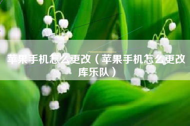 苹果手机怎么更改（苹果手机怎么更改库乐队）